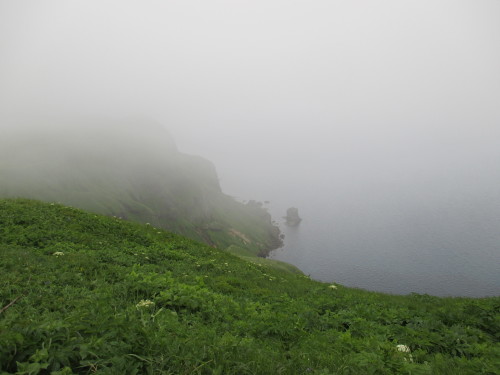 e0242504_23535768.jpg
