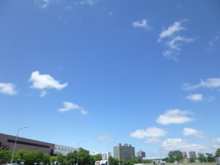 b0198109_20906.jpg