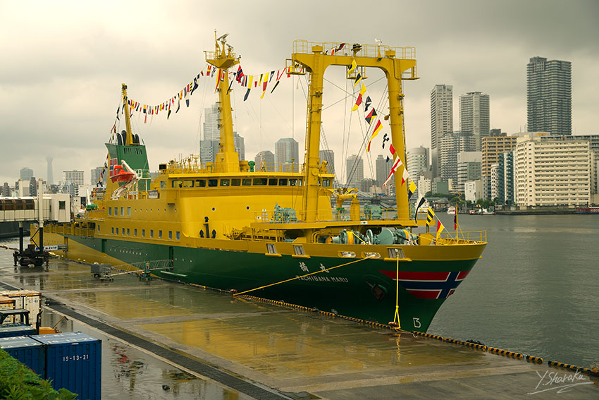 f0344614_2241213.jpg