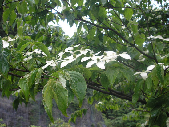 a0048823_1255693.jpg