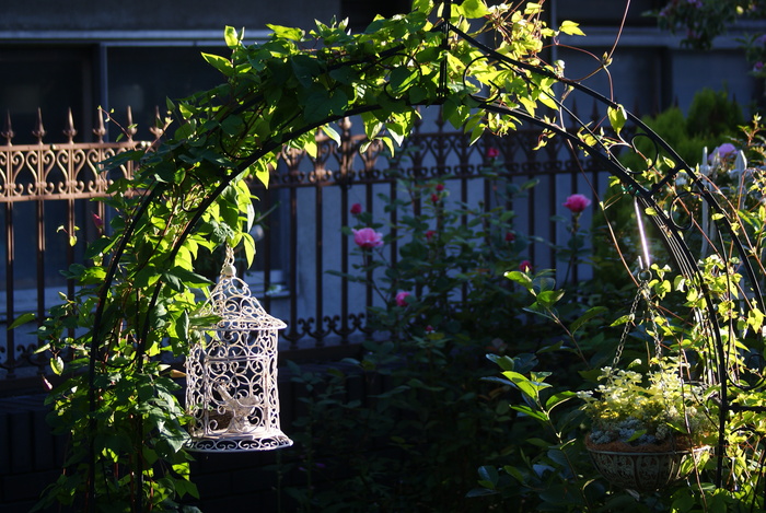 f0170524_2032460.jpg