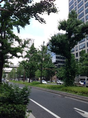 愛しのチームレジィーナとカルト・ブランシュでランチ♡_f0215324_2348947.jpg