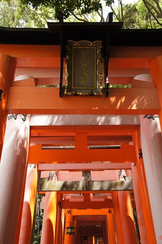 千本鳥居 ~伏見稲荷大社(京都)~_c0235725_2213715.jpg