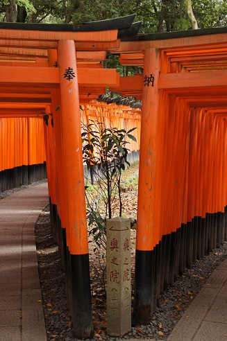 千本鳥居 ~伏見稲荷大社(京都)~_c0235725_2255570.jpg
