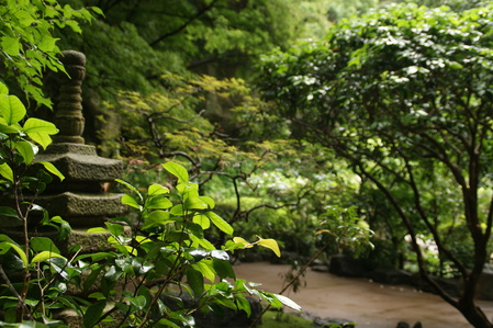 The bamboo garden_a0318033_22101586.jpg