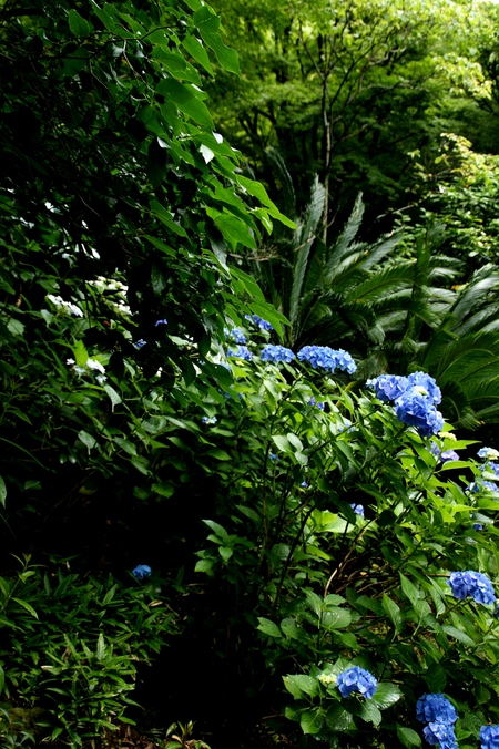 a0318033_22352131.jpg