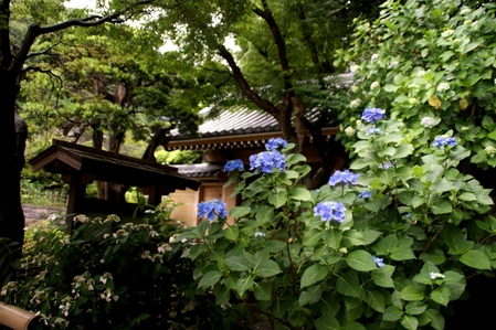a0318033_2274611.jpg