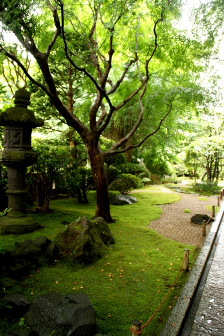 The bamboo garden_a0318033_229229.jpg