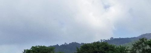b0063436_15395274.jpg