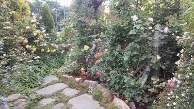 a0276937_11265254.jpg