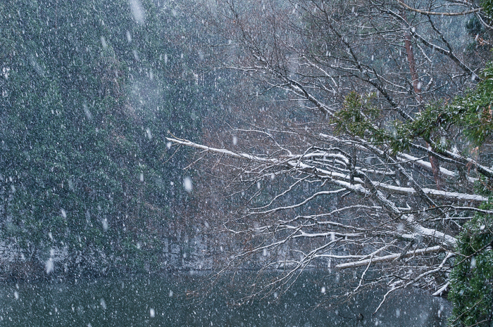 ある雪の日_c0318742_21414952.jpg