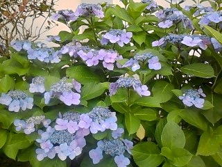 b0028845_23543420.jpg