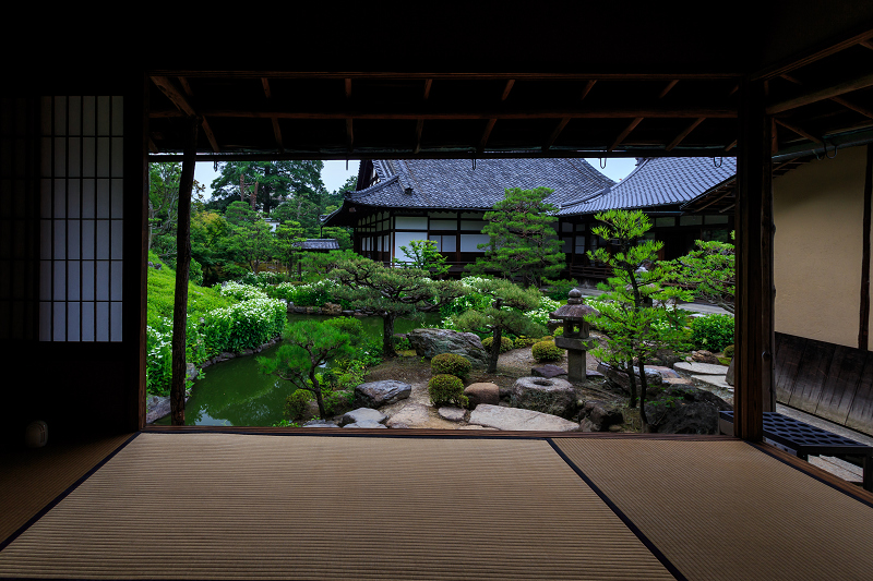 半夏生咲く庭(建仁寺塔頭・両足院)_f0155048_21355425.jpg