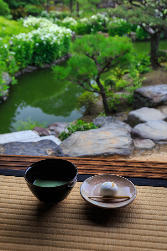 半夏生咲く庭(建仁寺塔頭・両足院)_f0155048_2138317.jpg