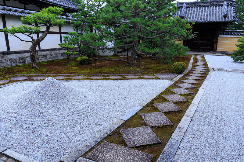 半夏生咲く庭(建仁寺塔頭・両足院)_f0155048_22334427.jpg