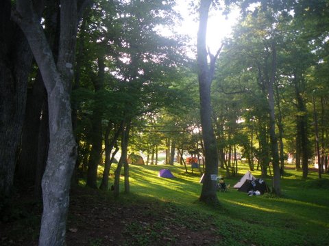 f0046250_2345370.jpg