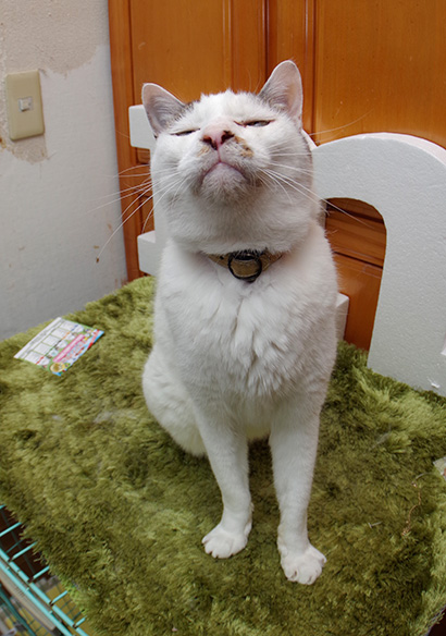 週末のいろいろです。_a0028451_12544004.jpg