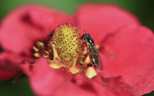 b0223754_22505217.jpg