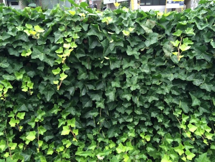 c0113755_03223401.jpg