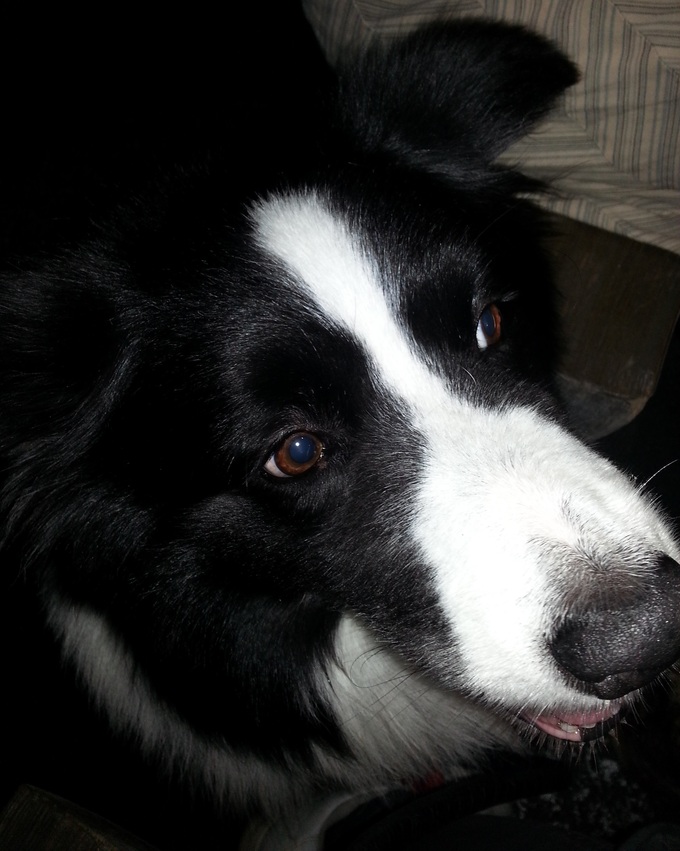 a0157156_03470.jpg