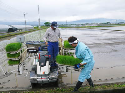 砂田米　田植え取材　その２（ご飯がごちそうになるお米の田植え）_a0254656_180422.jpg