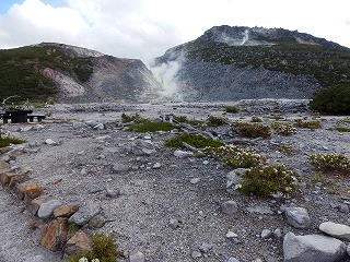 e0004756_2011073.jpg