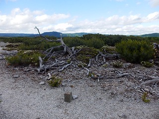 e0004756_2012783.jpg