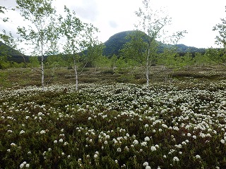 e0004756_2013264.jpg