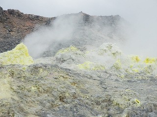 e0004756_20185624.jpg