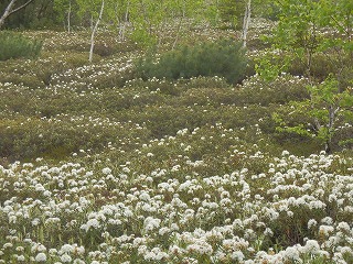e0004756_20202446.jpg