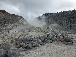 e0004756_2084654.jpg