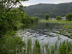 b0327166_18165265.jpg