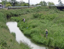 b0327166_1892658.jpg