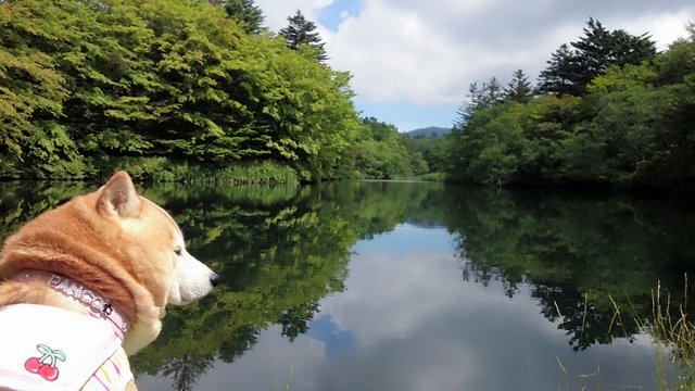 涼しい別荘地へご案内♪_b0274270_1126844.jpg