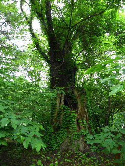 d0084473_21173621.jpg