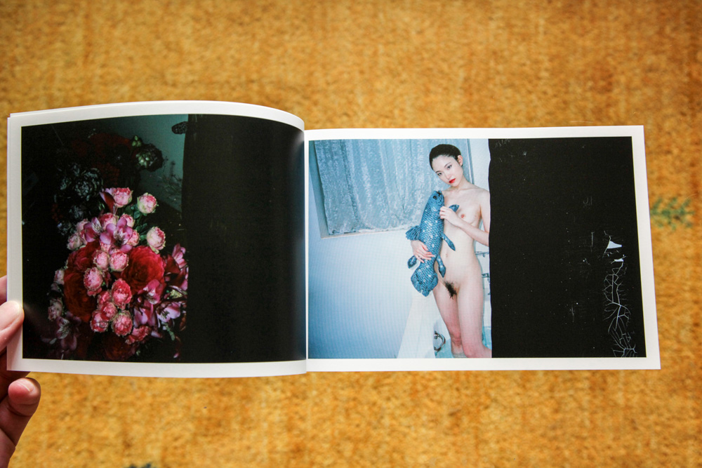 荒木経惟 Nobuyoshi Araki  「左眼ノ恋 Love on the left eye」_c0016177_12143039.jpg