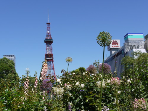 花フェスタとお茶屋さんのスイーツ_d0065077_1842259.jpg