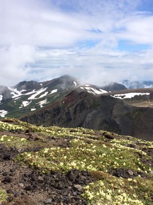 北海道・旭岳_a0106483_1494148.jpg