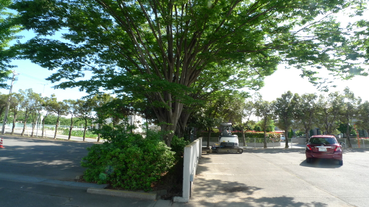 c0212083_21224423.jpg