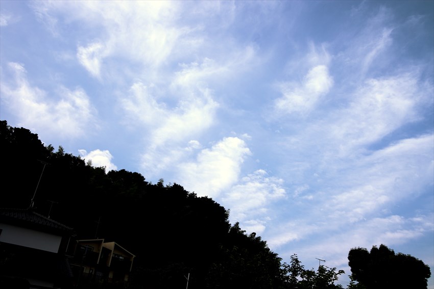 e0305388_21585086.jpg