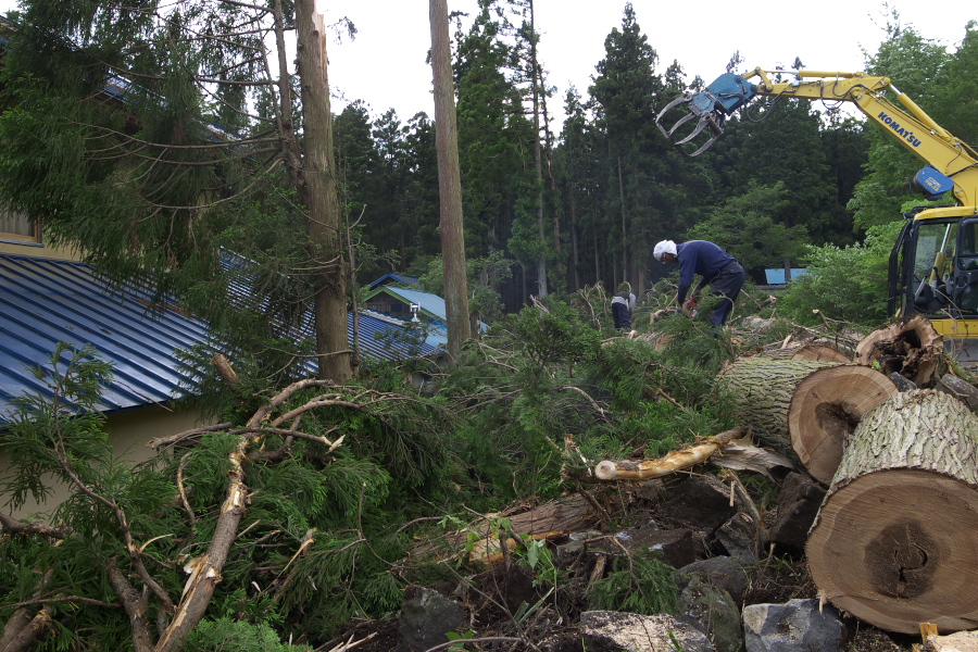 人出の鎌倉から　被災地陸前高田まで_f0137288_1748224.jpg