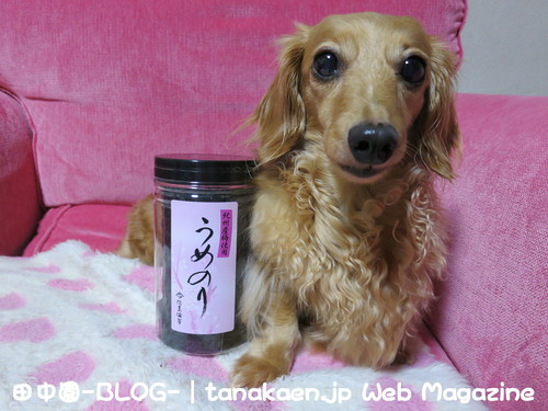 やる必要があるのか??_b0200291_2059912.jpg