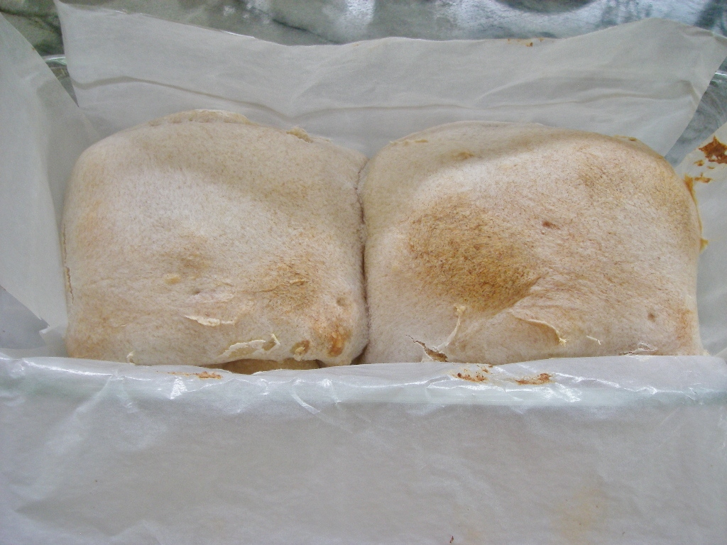 d0046294_12532941.jpg