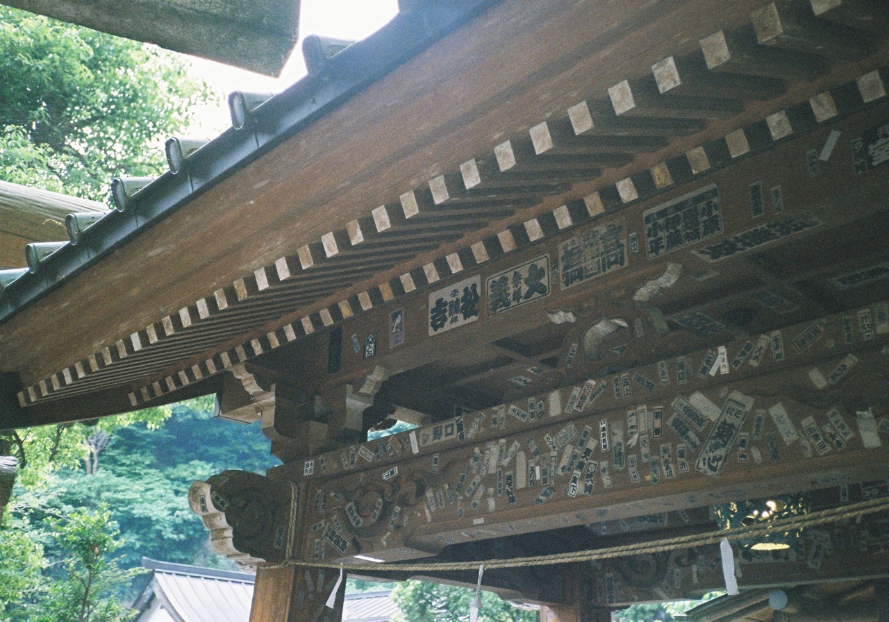 f0170995_1238345.jpg
