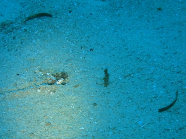 f0121701_18105449.jpg