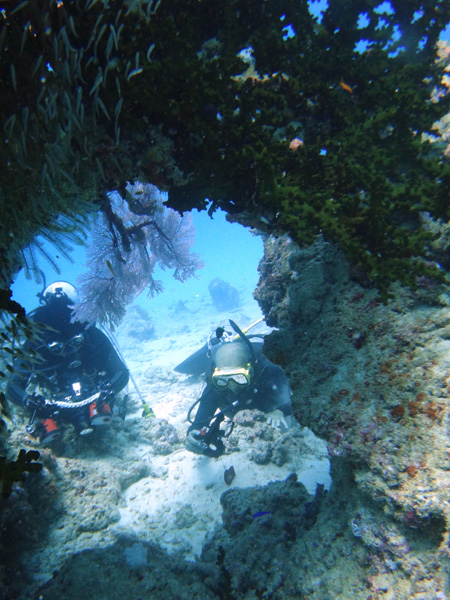 f0121701_1894435.jpg