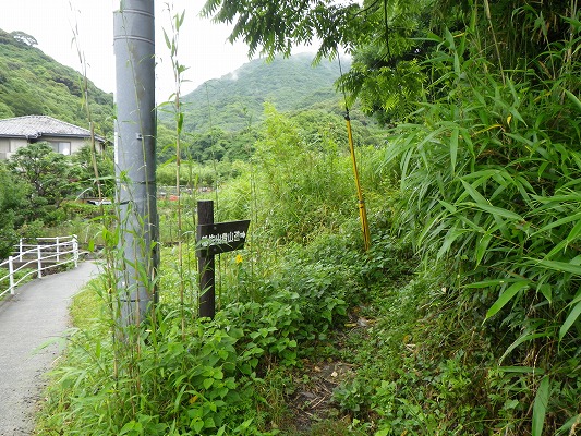 f0187402_20483783.jpg