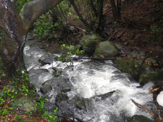 f0187402_20491268.jpg