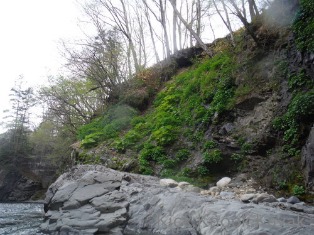 f0164003_13305840.jpg