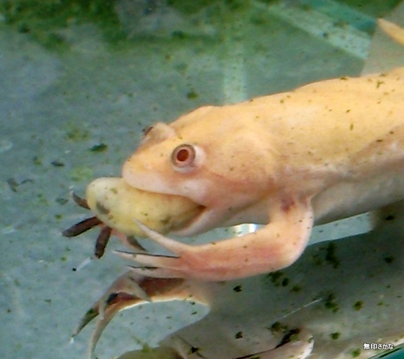 b0230805_00303359.jpg